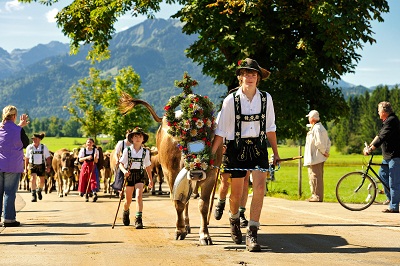 Transhumance en Bavière