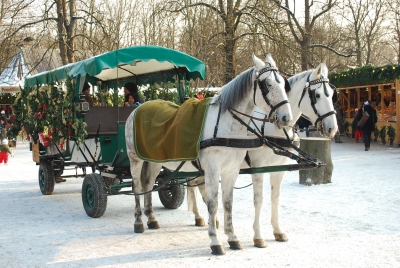 Noel à Munich